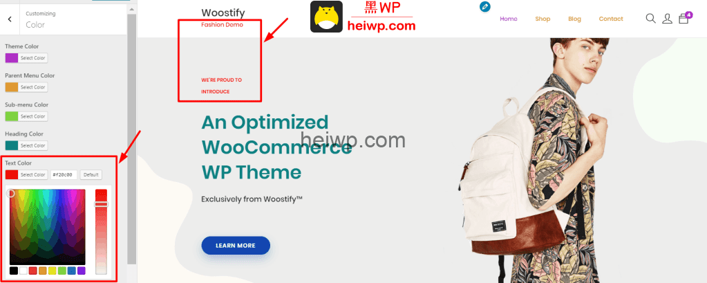 woostify颜色设置教程-黑WP