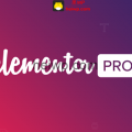Elementor Pro 【3.0.1版本更新内容】免费下载-黑WP-外贸建站