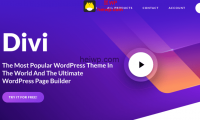Divi 对比 Elementor：哪种WordPress可视化编辑器插件更适合你？