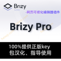 Brizy Pro【2.1.0版本更新内容】免费下载-黑WP-外贸建站