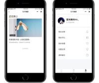 WordPress免费开源小程序-丸子开源小程序